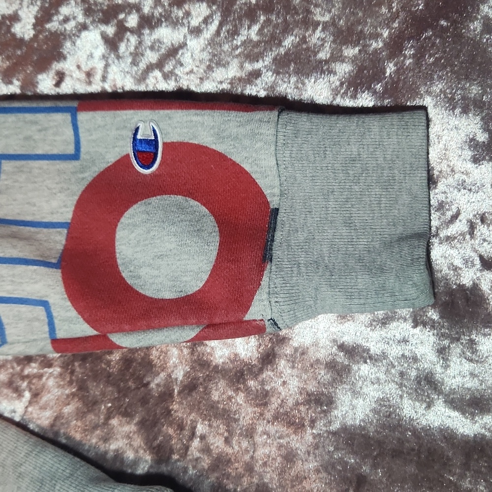 Nwot Champion Reverse Weave Monogram Logo Hoodie - image 4